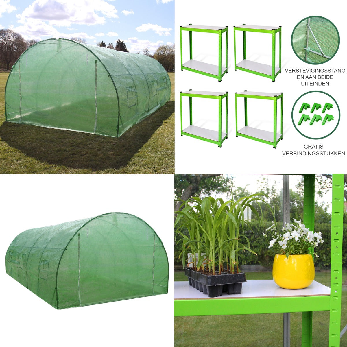 Polytunnel 25mm 6m x 3m with Racking