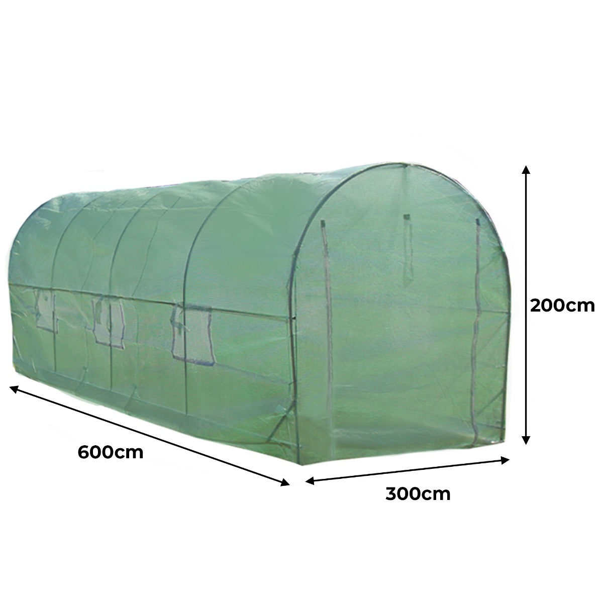 Polytunnel 25mm 6m x 3m with Racking