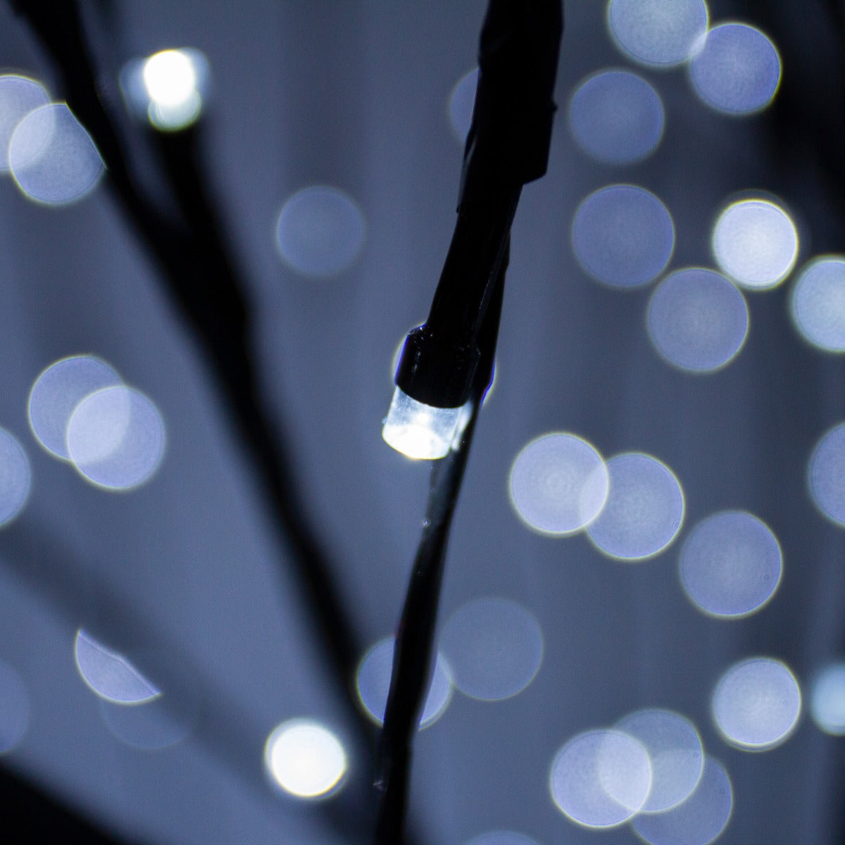 Wilgenboom LED kerstverlichting - Zwart - 240 m hoog - 800 witte lichtjes